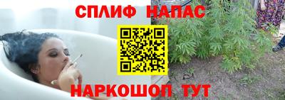 молекула духа Донской